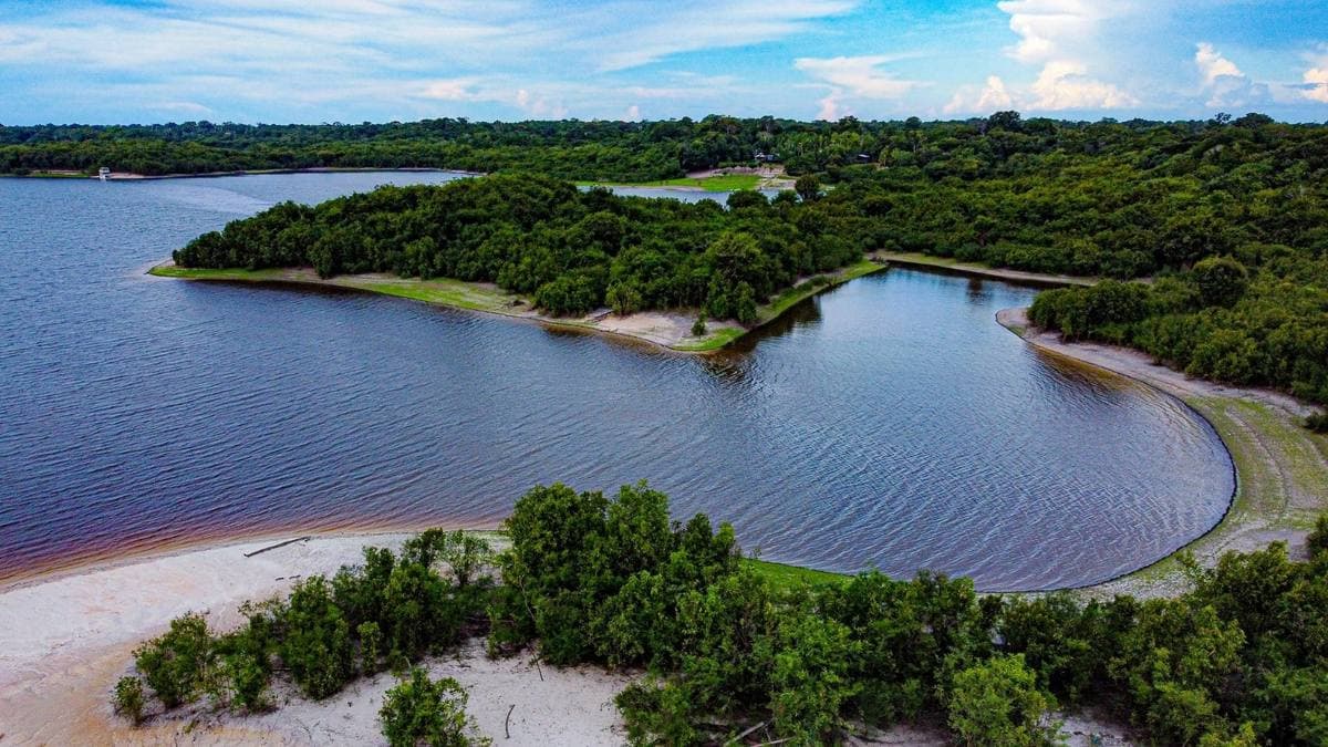 Paisagem amazônica